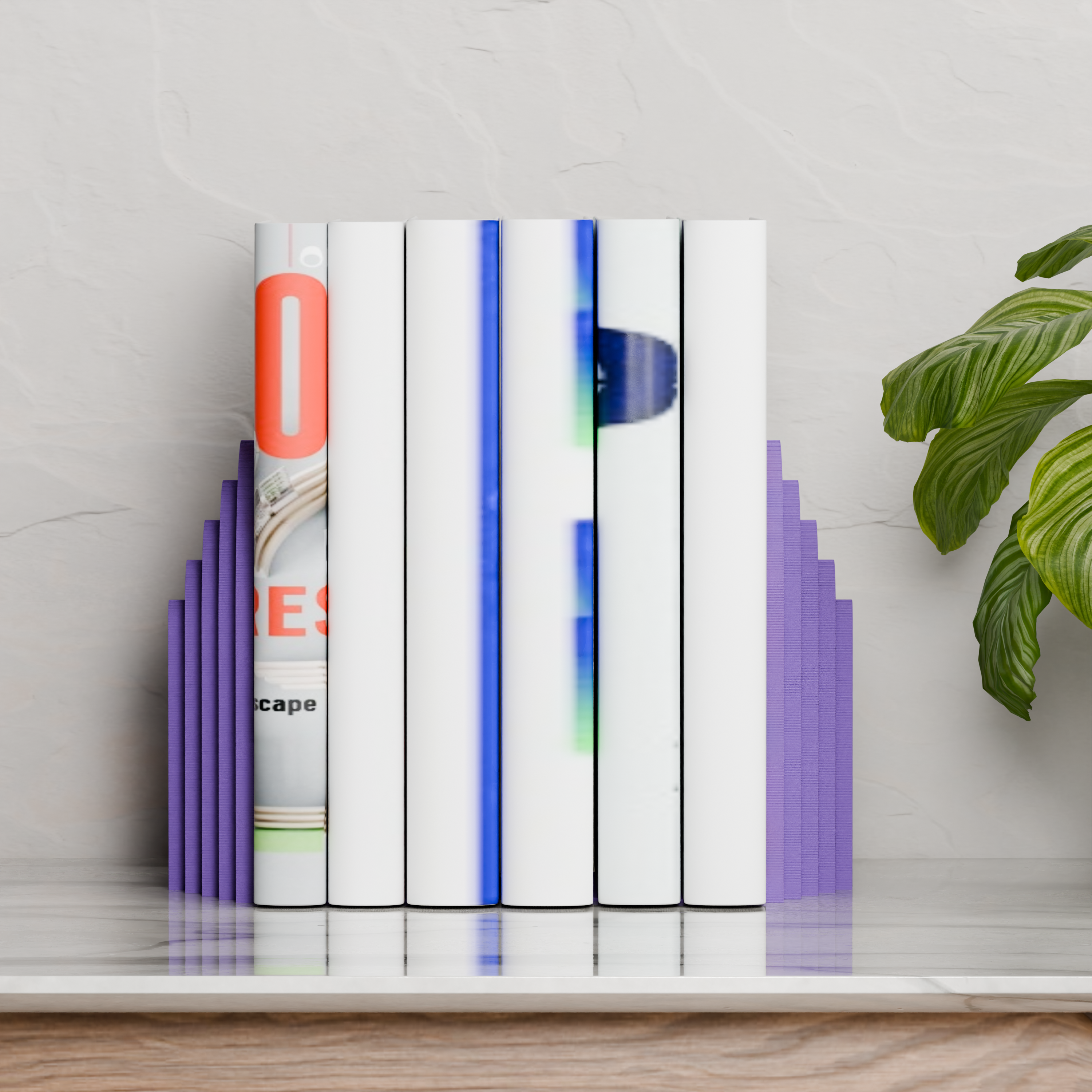 ECHO Bookends